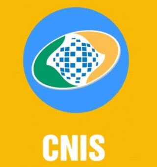 CNIS INSS 2022