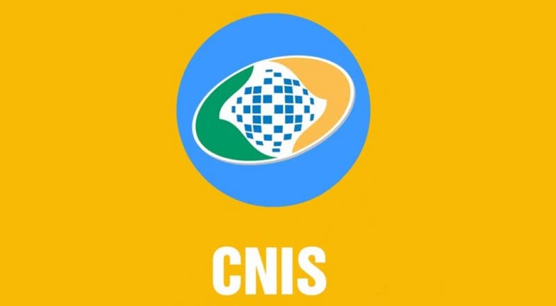 CNIS INSS 2022 